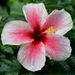 Profile Picture of Heidi D (@heididunbar99) on Pinterest
