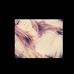Profile Picture of Julia Litwinow (@julia.litwinow) on Facebook
