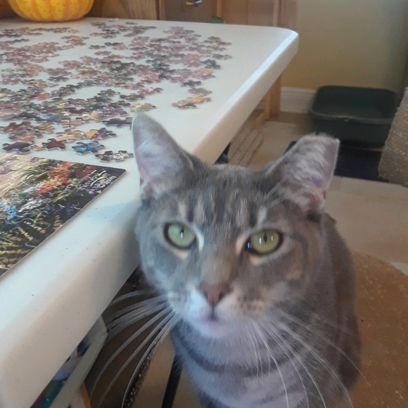 Profile Picture of Stephanie Twedt (@srtwedt27) on Poshmark