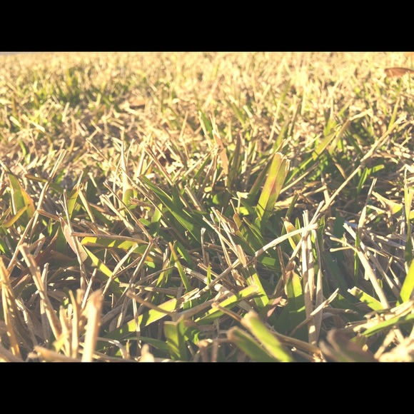 Profile Picture of Pop Pop (@piecutie) on Poshmark