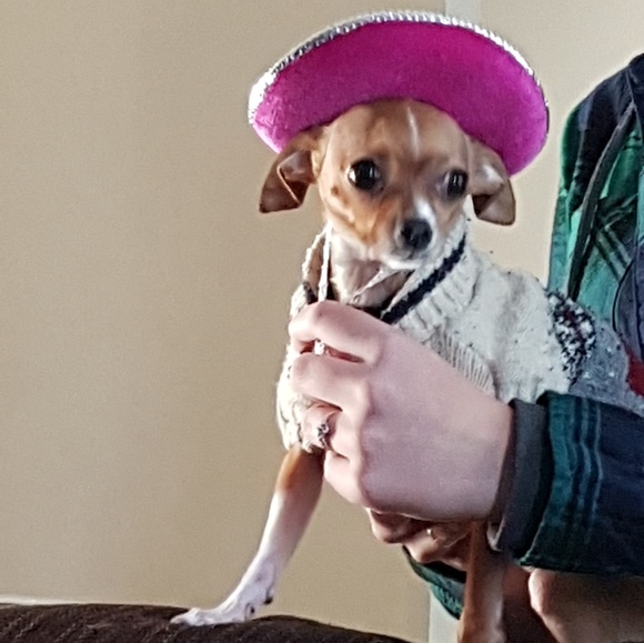 Taran Nugent - Poshmark Profile Picture of Taran Nugent (@taran_nugent) on Poshmark