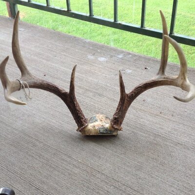 Profile Picture of Justin Staples (@JuiceAmp88) on Twitter