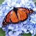 Profile Picture of Patty Hudspeth (@patty.hudspeth.39) on Facebook