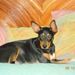 Profile Picture of Dawn Franklin (@njgalnva) on Pinterest