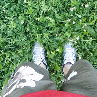 Profile Picture of Neil Cobb (@NeilCobb8) on Twitter