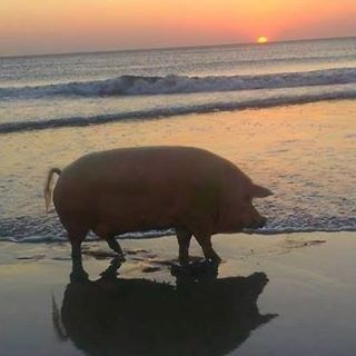 Profile Picture of Jim Moriarty (@Jim-Moriarty) on Facebook