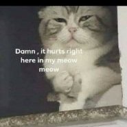 Profile Picture of SeanDass (@dass_sean) on Twitter