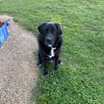 Profile Picture of David Stanifer (@David-Stanifer) on Facebook