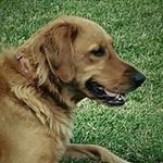 Profile Picture of Brad Basler (@bradbasler) on Instagram