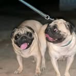 Profile Picture of Jeff Degar (@jeff.degar) on Facebook