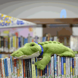 Profile Picture of Kehoe-France Library (@KFSSLibrary) on Twitter