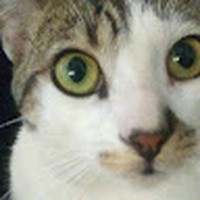 Profile Picture of Kenneth Farris (@kenneth-farris-8) on Quora