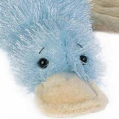 Profile Picture of Adam Fogg (@adamfogg1) on Twitter