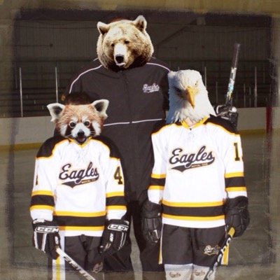 Profile Picture of Joey Ricketts (@Eagles_man13) on Twitter