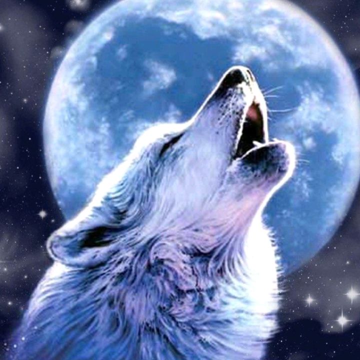 Profile Picture of Audrey h (@audreyhollenkamp) on Tiktok