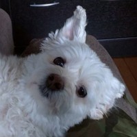 Profile Picture of Robert Makowsky (@robert-makowsky) on Quora