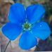 Profile Picture of Cindy Reichert (@cindy.reichert.712) on Facebook