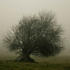 Profile Picture of Daniel Heldt (@danielheldt) on Flickr