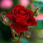 Profile Picture of Gary Schmidt (@Schmidtgary6) on Facebook