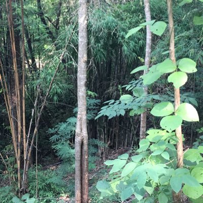 Profile Picture of Julia Returns (@PaulMier19) on Twitter