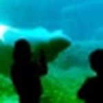 Profile Picture of jason.patterson.7543653 (@jason.patterson.7543653) on Flickr