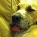 caitlinstern - Instagram Profile Picture of caitlinstern (@caitlinstern) on Instagram