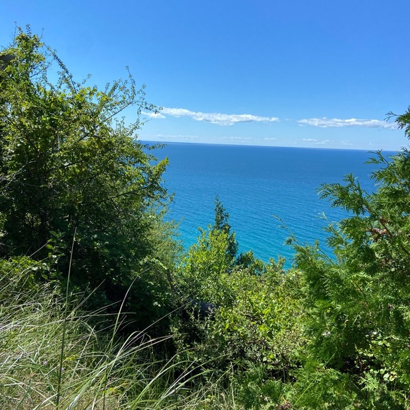 Lisa Watkinson - Poshmark Profile Picture of Lisa Watkinson (@lisawatkinson) on Poshmark