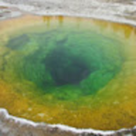 Profile Picture of Andrea Chertoff (@andreachertoff) on Poshmark