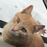 Profile Picture of Brandy Horton (@bhorton121) on Instagram