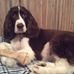 Profile Picture of Josée Bilodeau (@josee.bilodeau.129) on Facebook