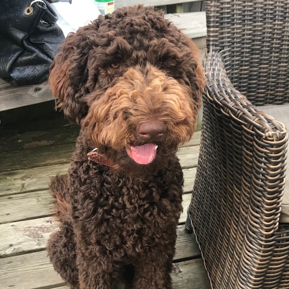 Profile Picture of Elesha Heeringa (@eleshaheeringa) on Poshmark