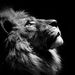 Profile Picture of Thomas Alpha (@slamamateur) on Pinterest