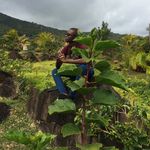 Profile Picture of Seth Shawn (@sethshawn) on Instagram
