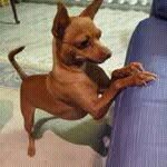 Profile Picture of Rosa Benavides Huerta (@benavides.r) on Instagram