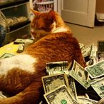 Profile Picture of michael danson (@dansonmichael) on Instagram