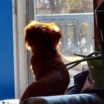 Profile Picture of Jonathan Lovelady (@jonathan.lovelady.92) on Facebook