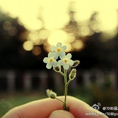 Profile Picture of Lori (@Lori_Mo) on Twitter