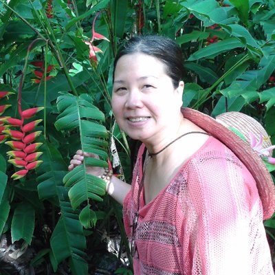 Profile Picture of Jeff Gillis (@j_v_gillis) on Twitter