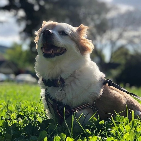 Profile Picture of Pablo Gonzales (@lummlumm) on Poshmark