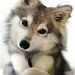 Profile Picture of Matthew Navas (@matthewn39530) on Pinterest