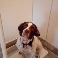 Profile Picture of Christopher Winter (@christopher.winte4) on Tiktok