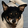 Profile Picture of galkawa (@galkawa) on Flickr
