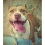 Profile Picture of Heladio Lopez Ramirez (@heladiolopezramirez) on Instagram