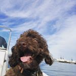 Profile Picture of Ivy Henderson (@lifeofivy__) on Instagram