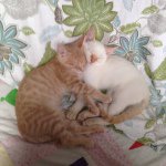 Profile Picture of Leslie McCrea (@airmccrea) on Instagram