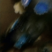 Profile Picture of Eric Hannah (@erichannah1894) on Youtube