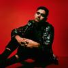 Profile Picture of michael scimeca (@michaelscimeca_) on Tiktok