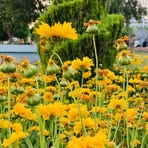 Profile Picture of Narmin Abdulrahman (@narmin.abdulrahman.733337) on Facebook