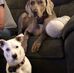 Profile Picture of Kevin Autry (@kevin.autry.752) on Facebook