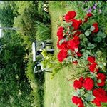 Profile Picture of Gary.S (@gary.scott4) on Instagram